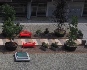 Rotary giardino terapeutico ospedale - 2024 4 