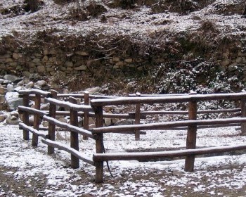 Sistemazione ambientale località Prera a Sordevolo 2 Inizio lavori